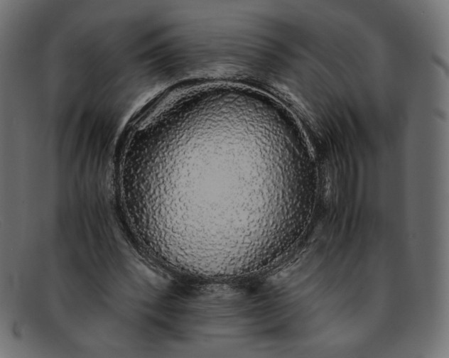 X0000091860392200709191120