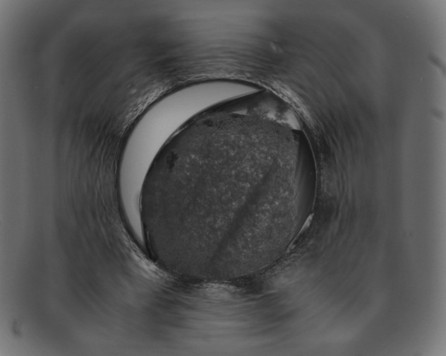 X0000091860393200709191120