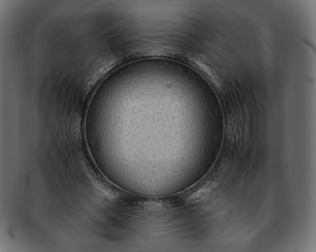 X0000091860394200709191120