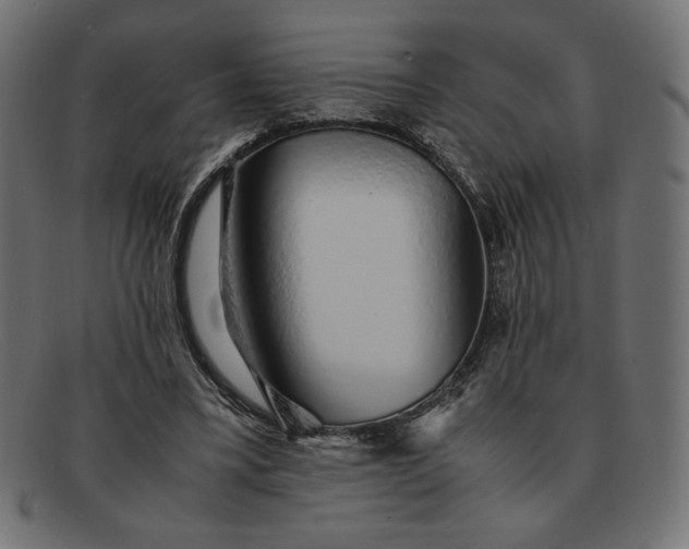 X0000091860395200709191120