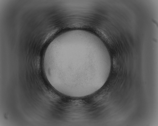 X0000091860396200709191120