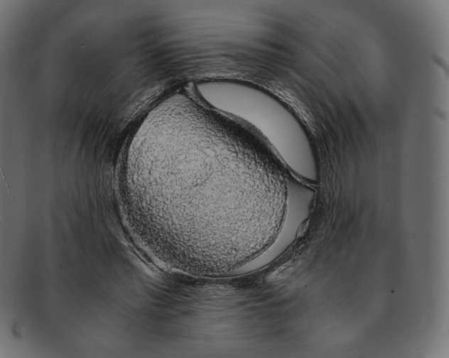 X0000091860397200709191120