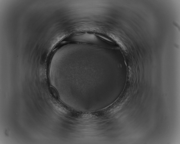 X0000091860399200709191120