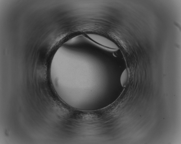 X0000091860400200709191120