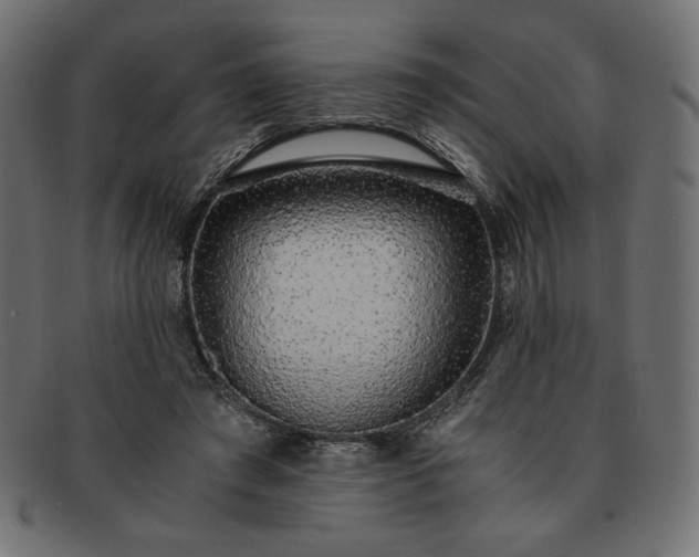 X0000091860401200709191120