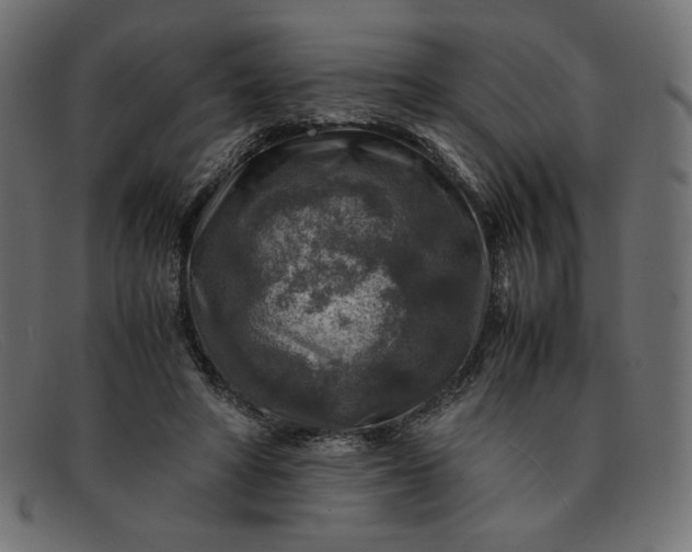 X0000091860402200709191120