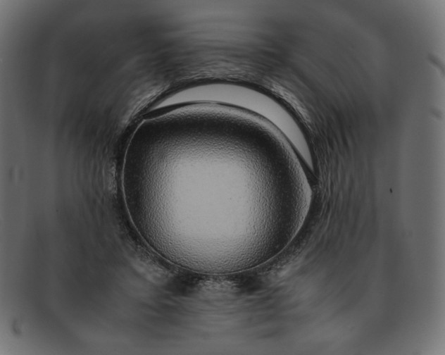 X0000091860403200709191120