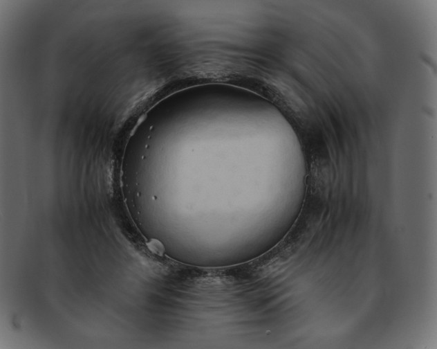 X0000091860404200709191120