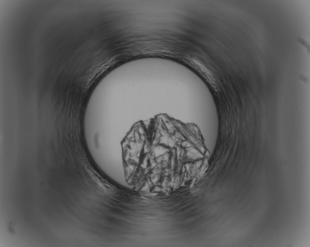 X0000091860405200709191120