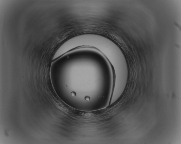 X0000091860409200709191120