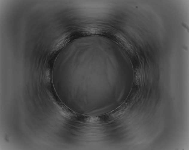 X0000091860410200709191120