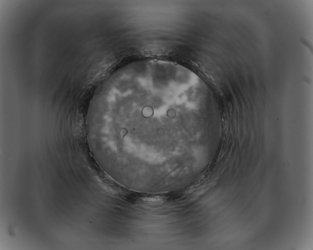 X0000091860411200709191120