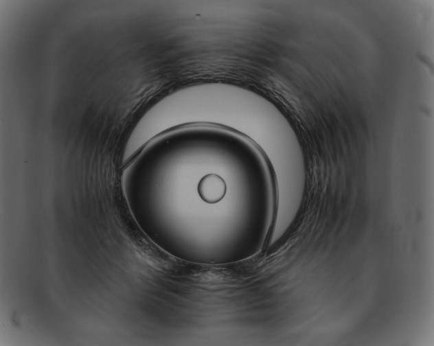 X0000091860412200709191120