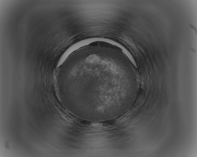 X0000091860413200709191120