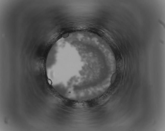 X0000091860415200709191120