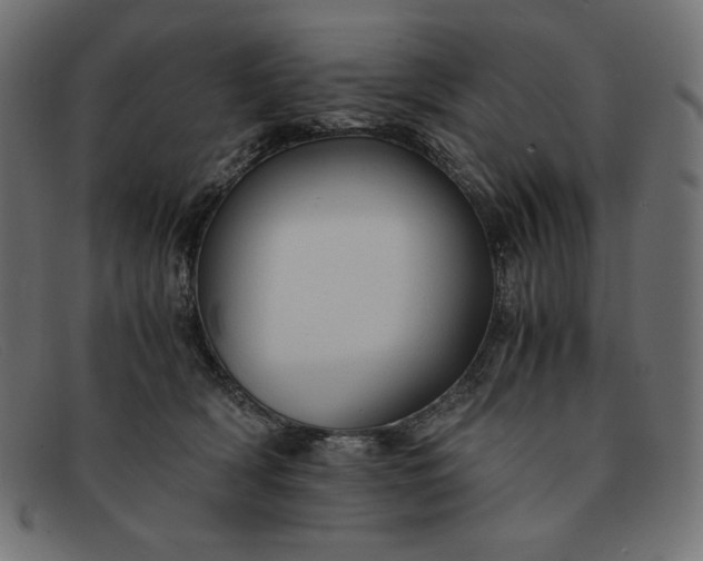 X0000091860418200709191120