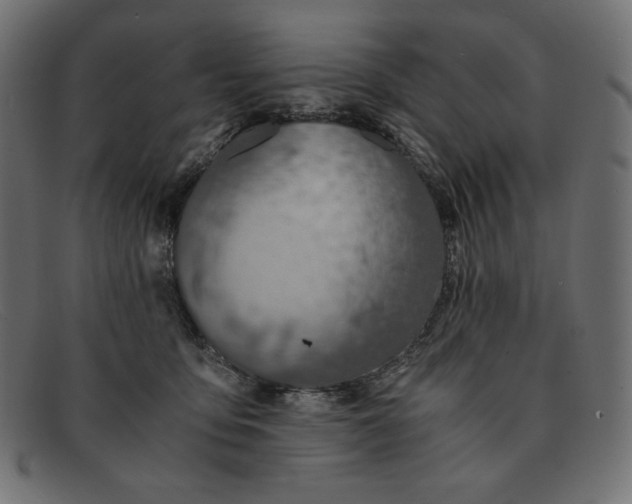 X0000091860419200709191120