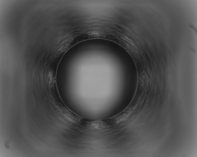 X0000091860420200709191120