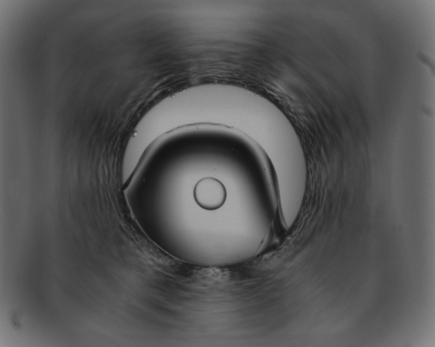 X0000091860421200709191120