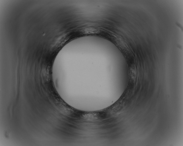 X0000091860422200709191120