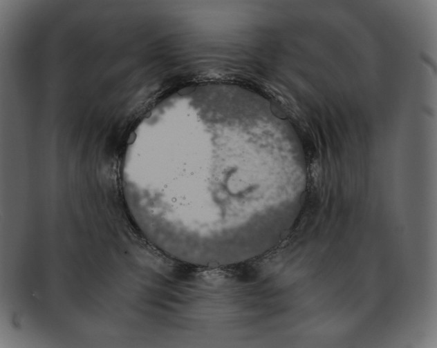 X0000091860423200709191120