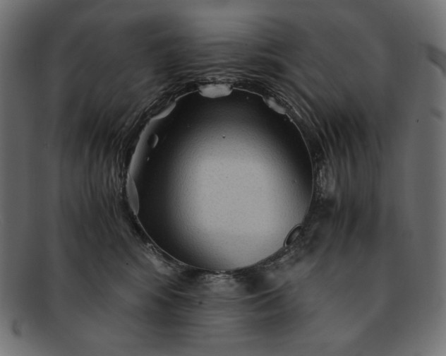 X0000091860424200709191120