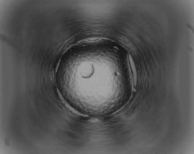 X0000091860425200709191120