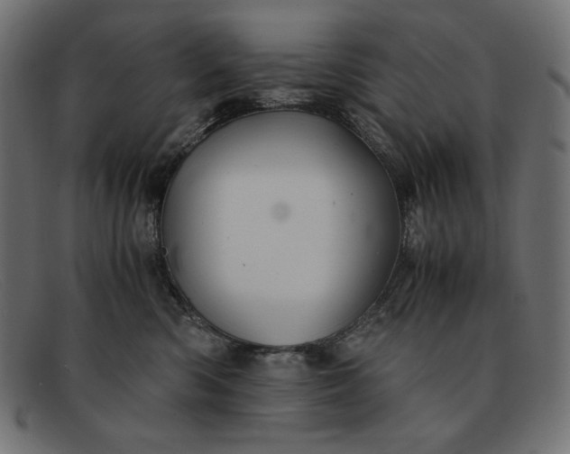 X0000091860426200709191120