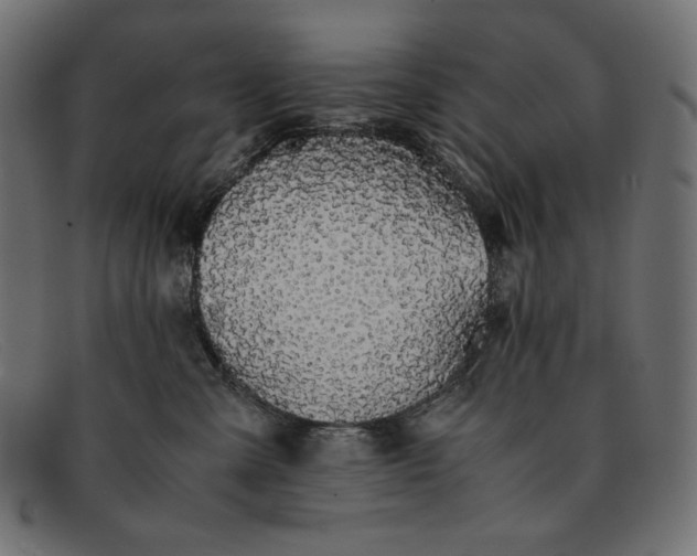 X0000091860427200709191120