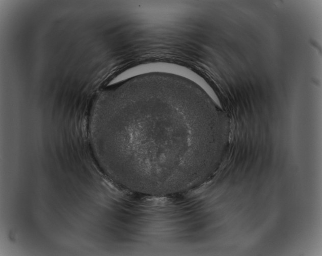 X0000091860428200709191120