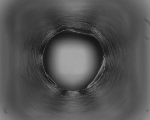 X0000091860429200709191120