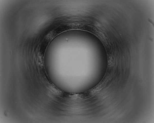 X0000091860430200709191120