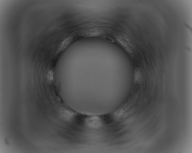 X0000091860431200709191120