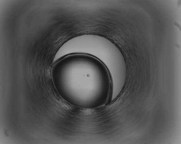 X0000091860432200709191119