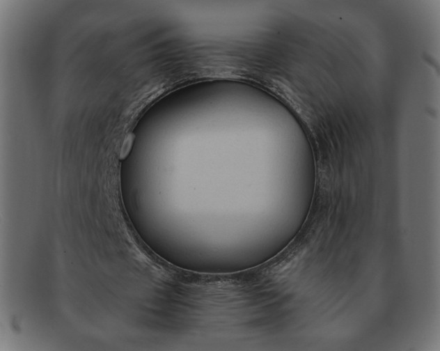 X0000091860433200709191119