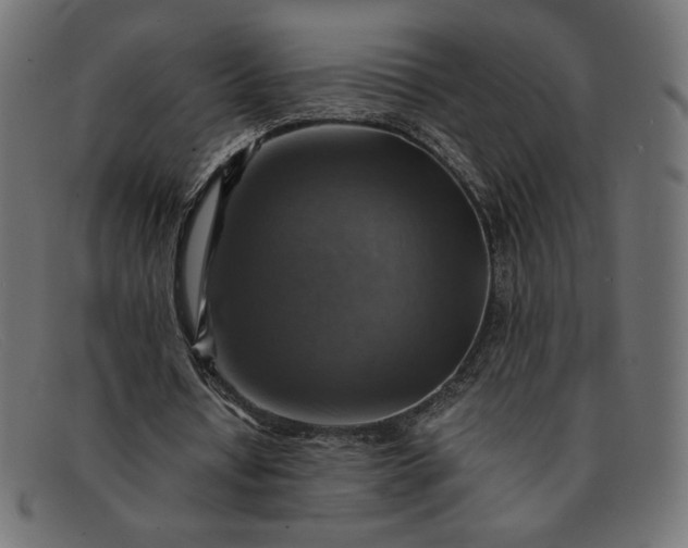 X0000091860434200709191119