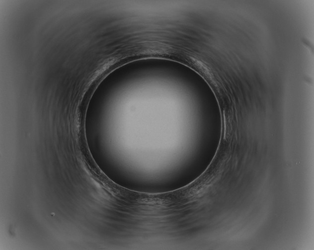 X0000091860435200709191119