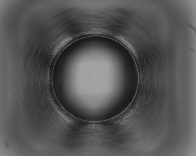 X0000091860437200709191119