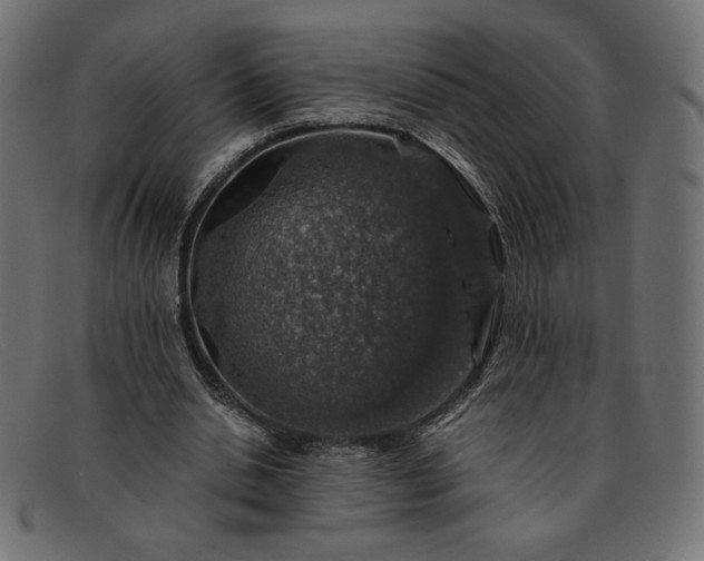 X0000091860438200709191119