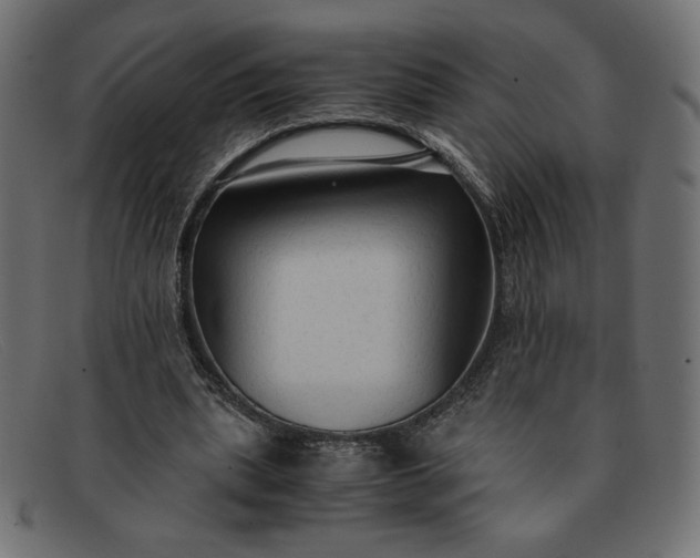 X0000091860439200709191119