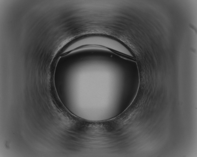 X0000091860440200709191119