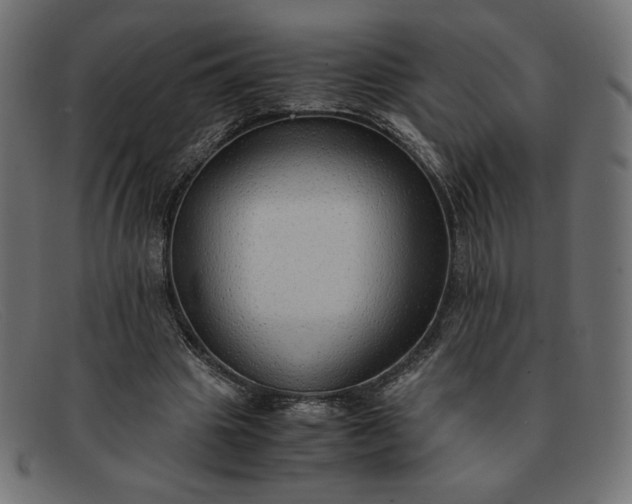 X0000091860441200709191119