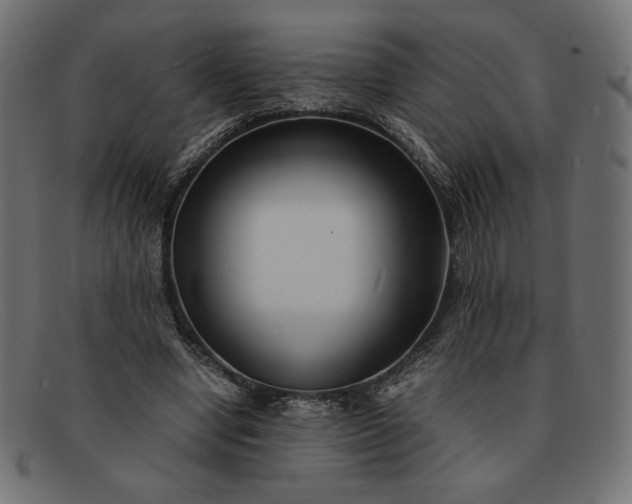 X0000091860442200709191119