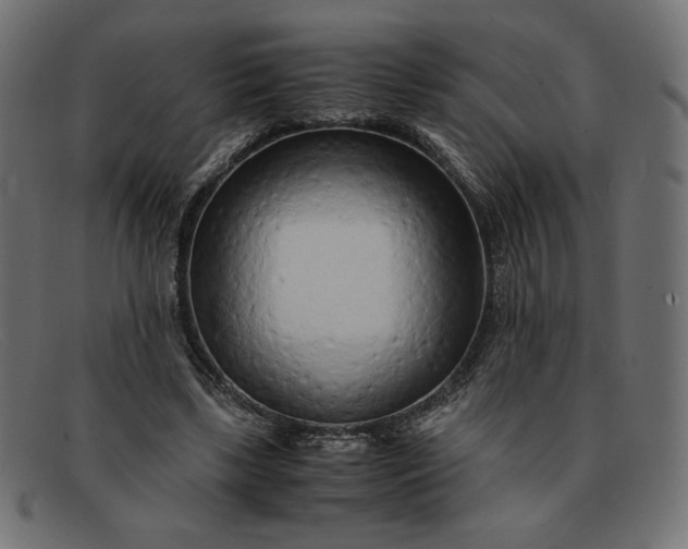 X0000091860443200709191119