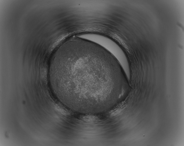 X0000091860444200709191119