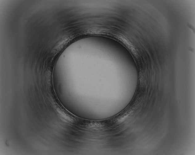 X0000091860445200709191119