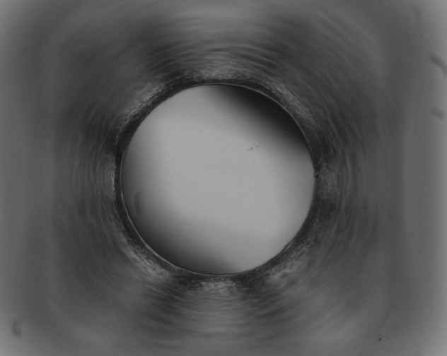 X0000091860446200709191119