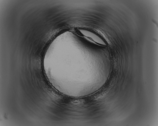 X0000091860447200709191119