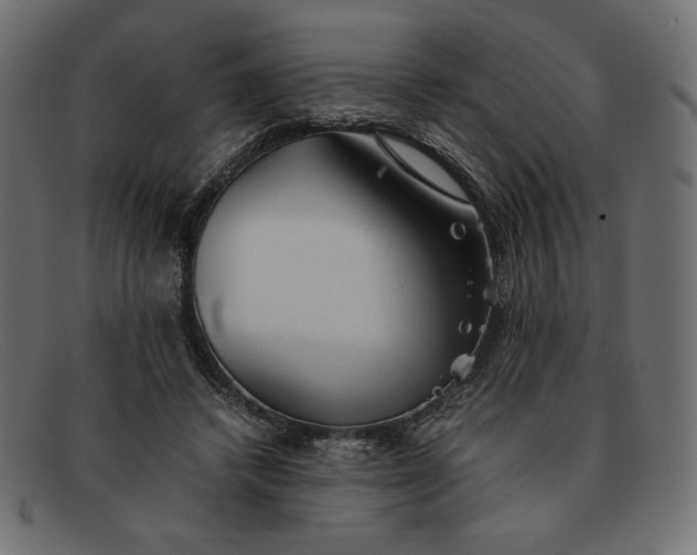 X0000091860448200709191119