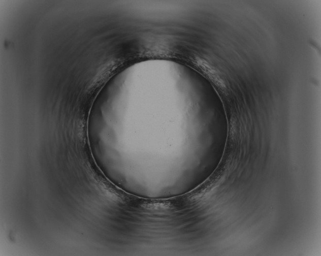 X0000091860449200709191119